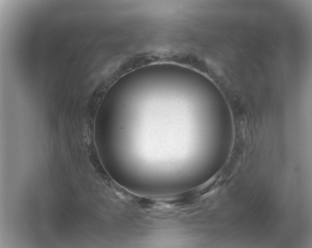 X0000067481253200604150007