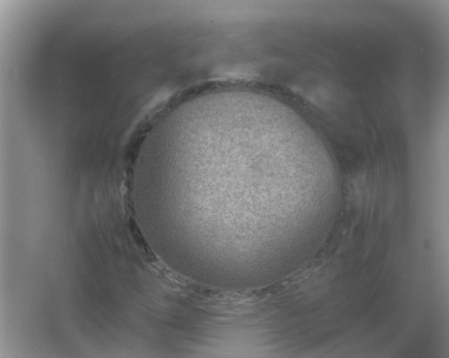 X0000067481254200604150007