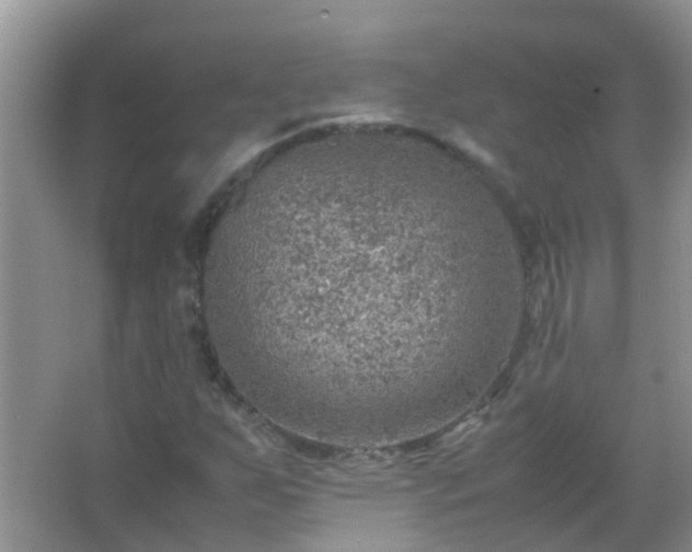 X0000067481255200604150007