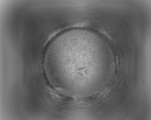 X0000067481256200604150007