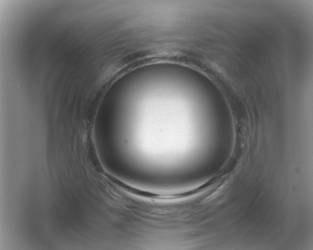 X0000067481257200604150007