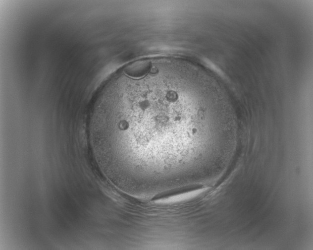 X0000067481259200604150007