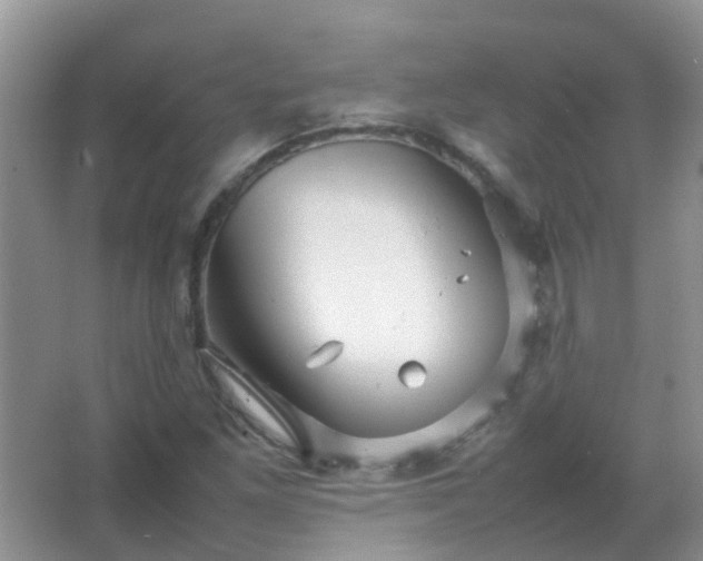 X0000067481261200604150007