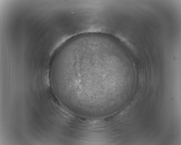 X0000067481262200604150007