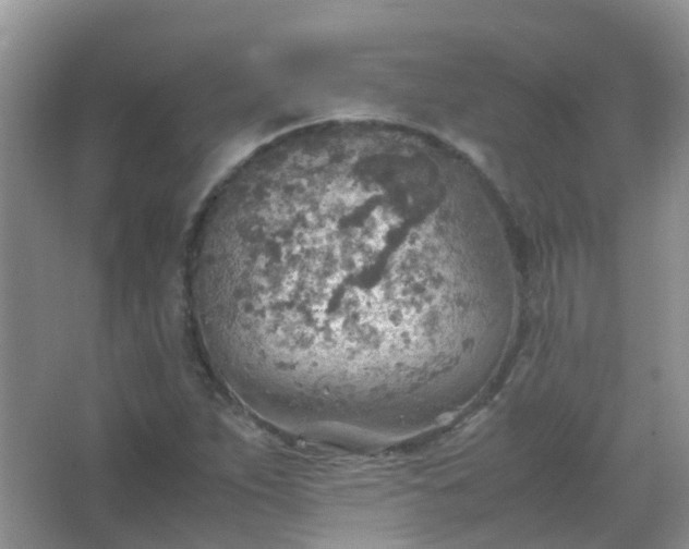 X0000067481263200604150007