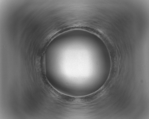 X0000067481265200604150007