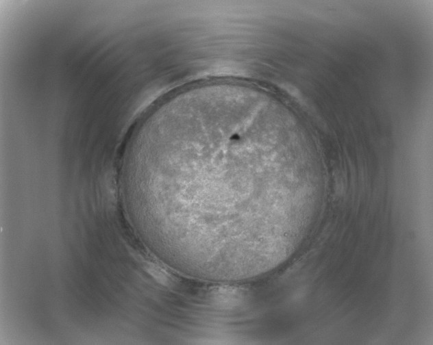 X0000067481266200604150007