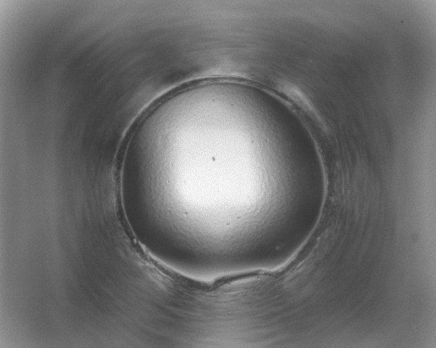 X0000067481268200604150007