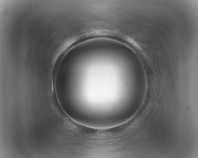 X0000067481269200604150007