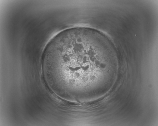 X0000067481271200604150007