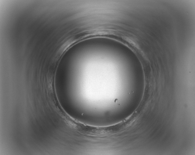 X0000067481273200604150007