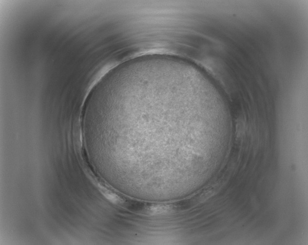 X0000067481274200604150007