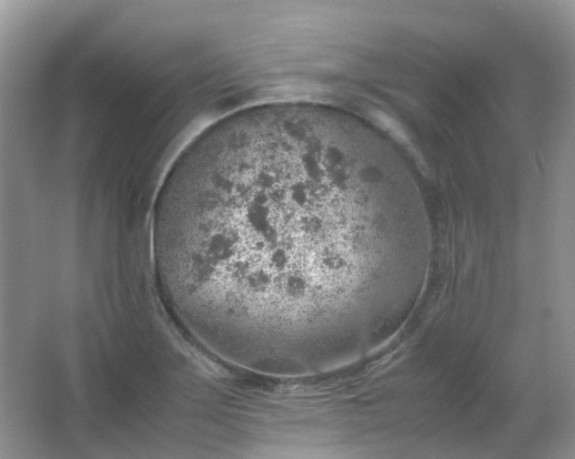 X0000067481275200604150007