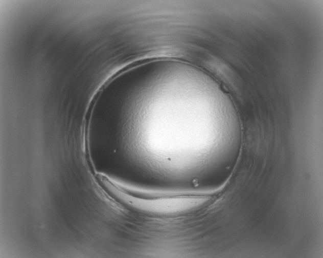 X0000067481276200604150007