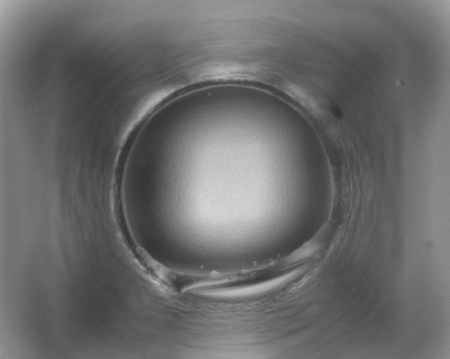 X0000067481277200604150007