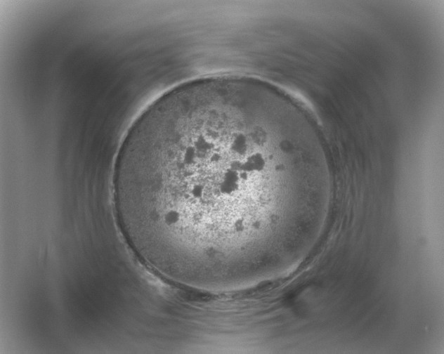 X0000067481279200604150007