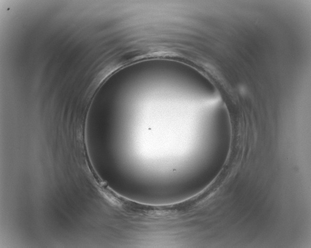 X0000067481281200604150006