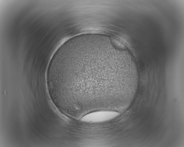 X0000067481283200604150006