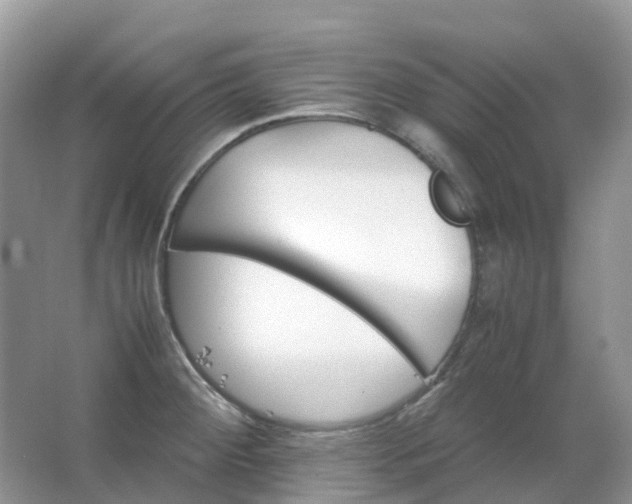 X0000067481284200604150006