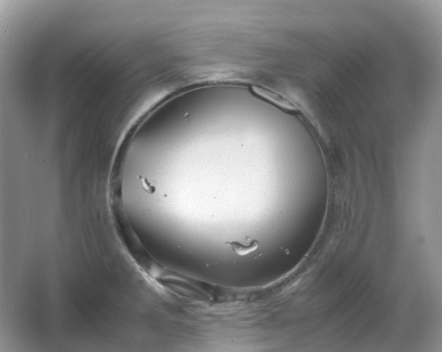 X0000067481285200604150006