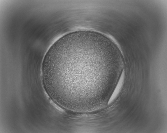 X0000067481287200604150006