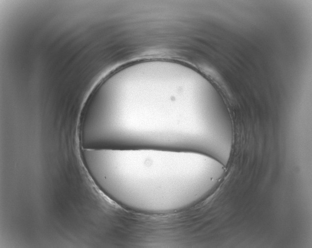 X0000067481288200604150006