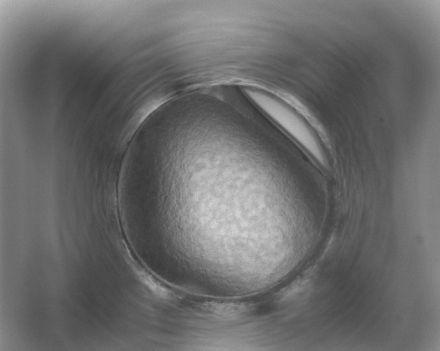 X0000067481289200604150006