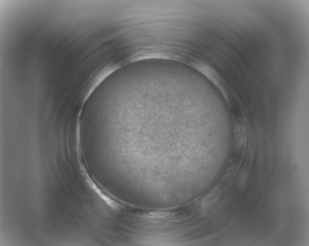 X0000067481290200604150006