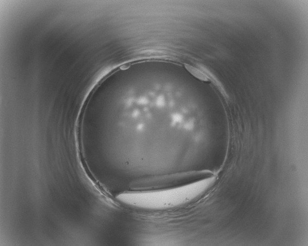 X0000067481291200604150006