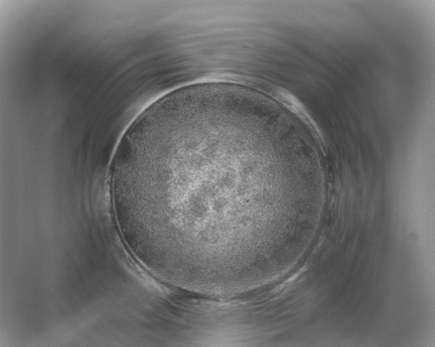 X0000067481292200604150006