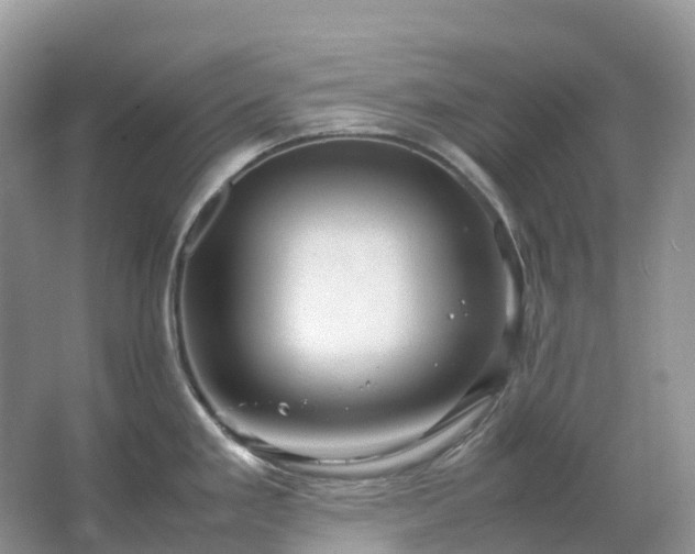 X0000067481293200604150006