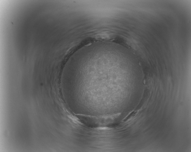 X0000067481297200604150005