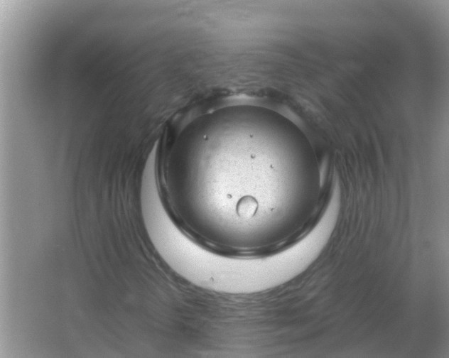 X0000067481298200604150005