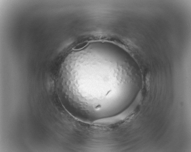 X0000067481302200604150006