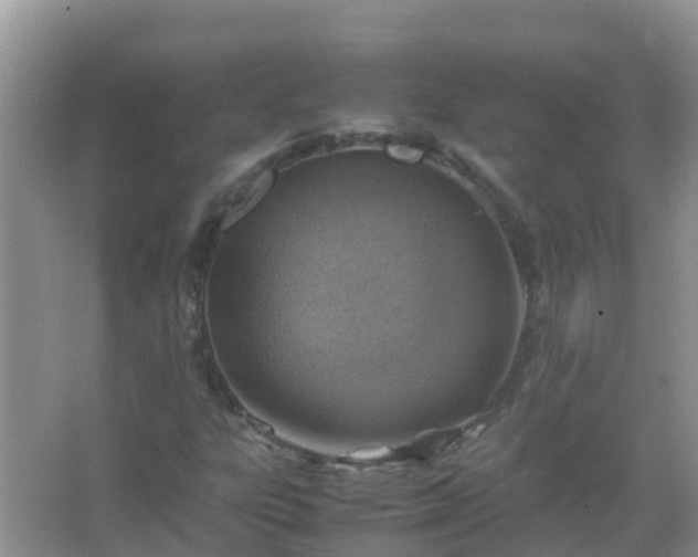 X0000067481303200604150006