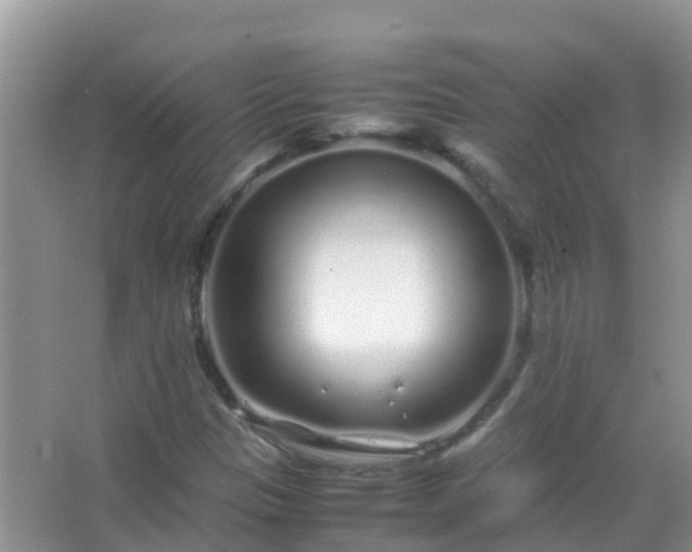 X0000067481305200604150006