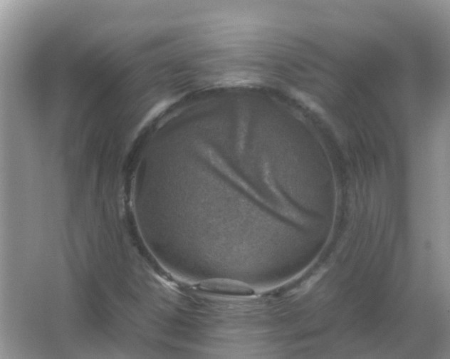 X0000067481306200604150006