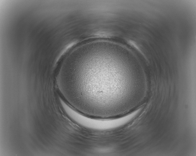 X0000067481307200604150006