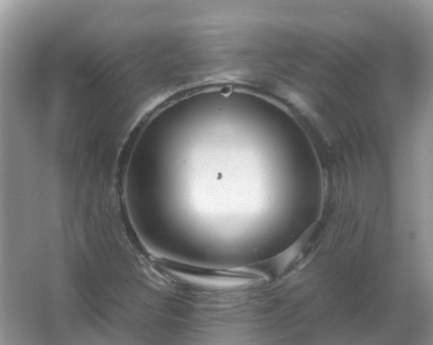 X0000067481308200604150006