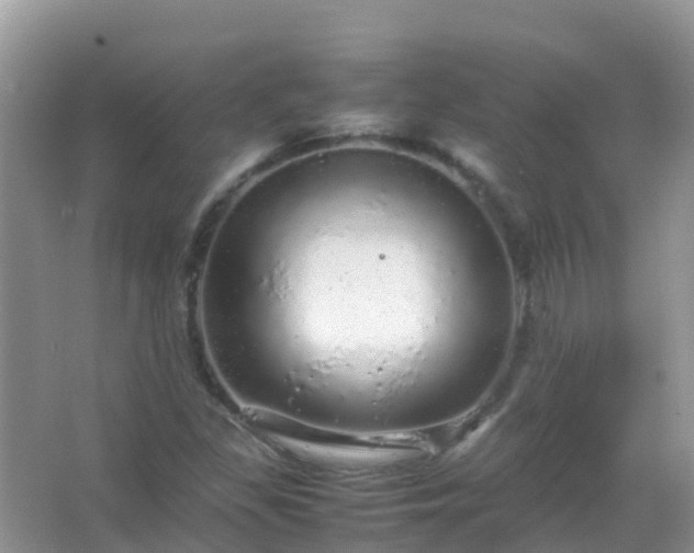 X0000067481309200604150006