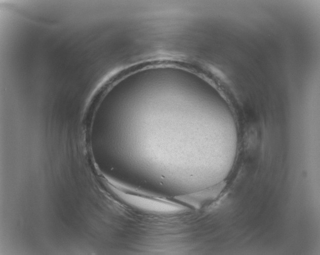 X0000067481310200604150006