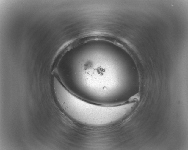 X0000067481314200604150006