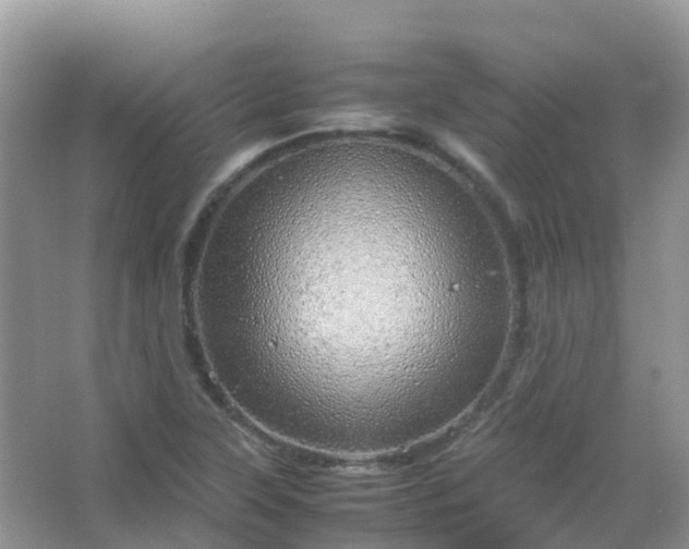 X0000067481315200604150006