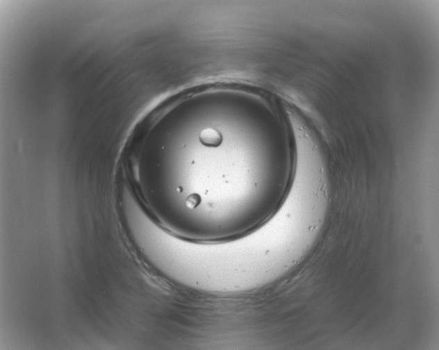 X0000067481316200604150006