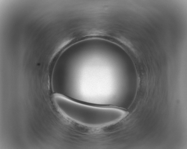 X0000067481317200604150006