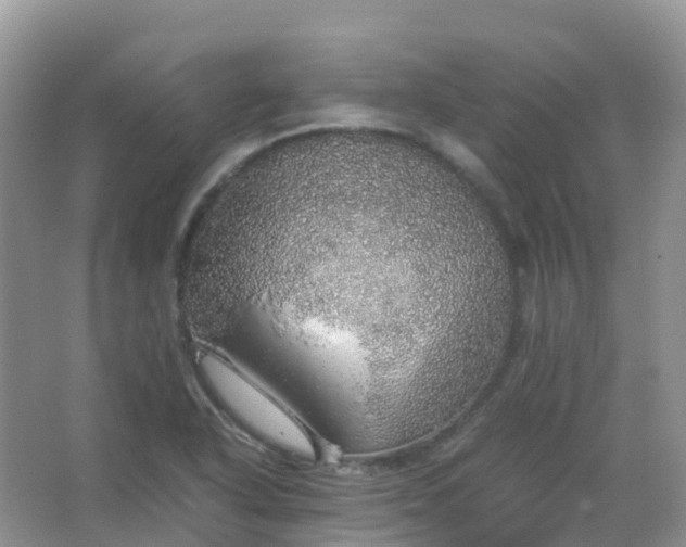 X0000067481318200604150006