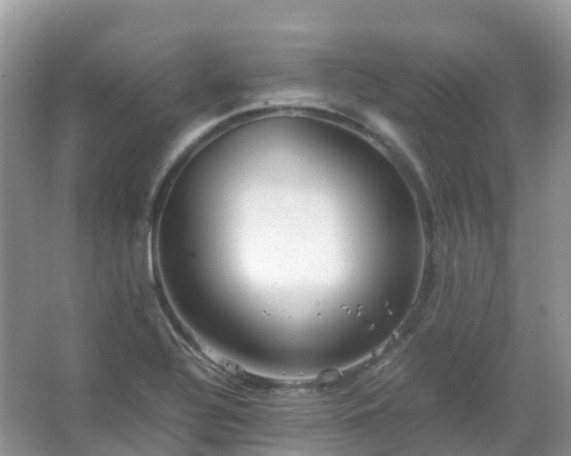 X0000067481320200604150006