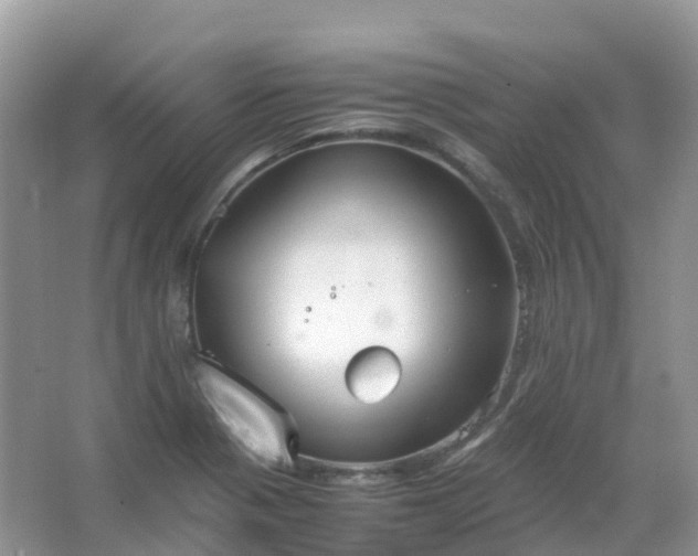 X0000067481321200604150006