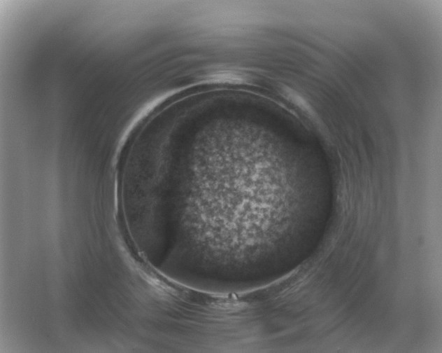 X0000067481323200604150006