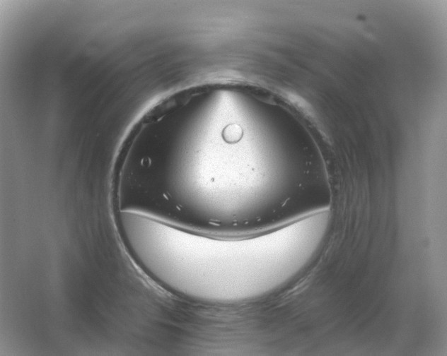 X0000067481326200604150006